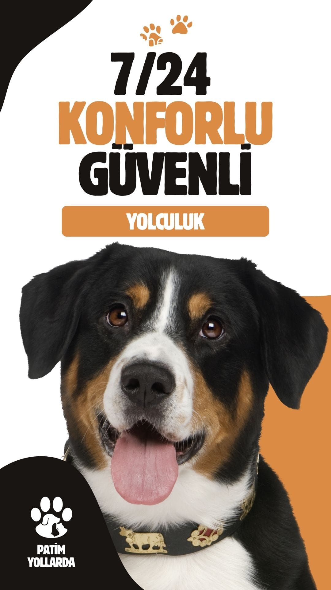 Patim Yollarda Pet Taksi